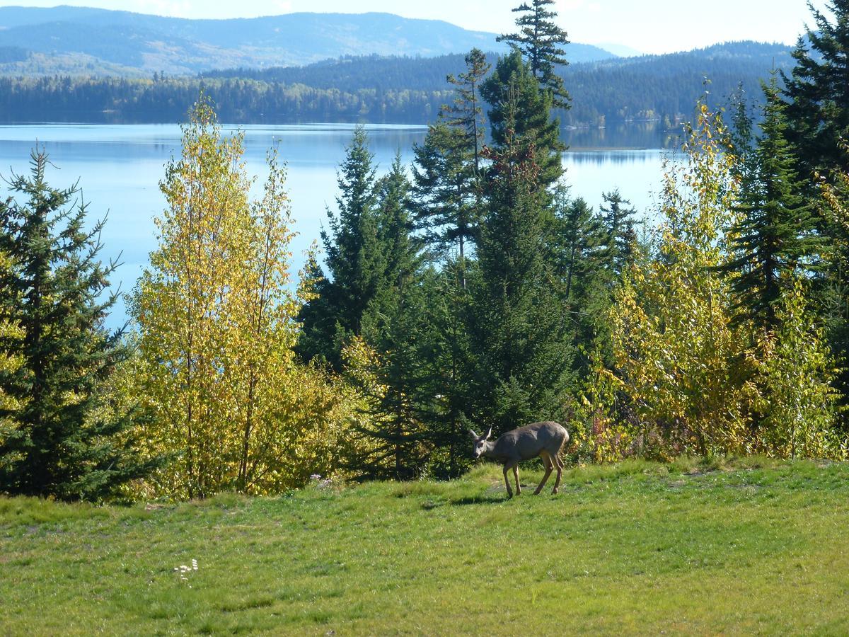 Little Black Bear Lodge/B&B Bridge Lake Extérieur photo