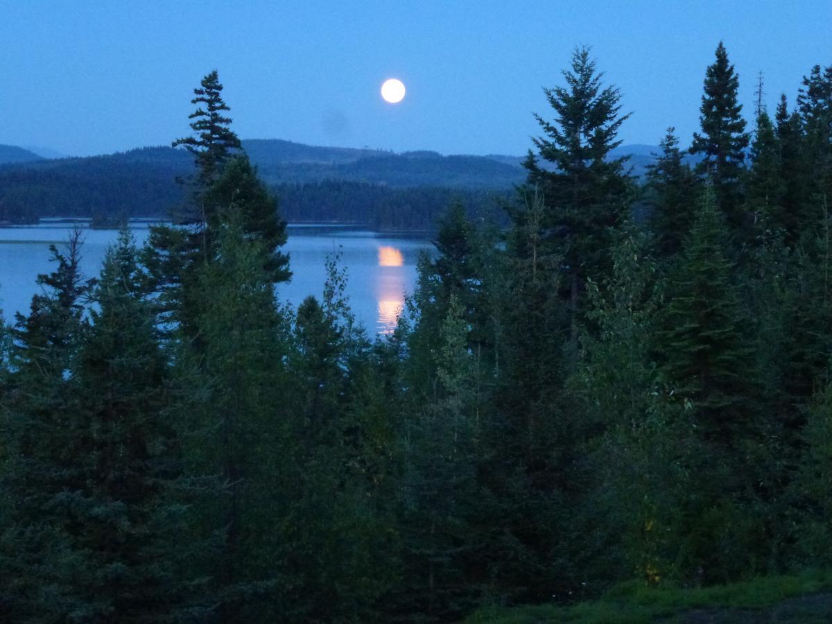 Little Black Bear Lodge/B&B Bridge Lake Extérieur photo