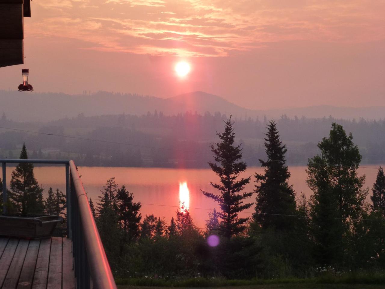 Little Black Bear Lodge/B&B Bridge Lake Extérieur photo