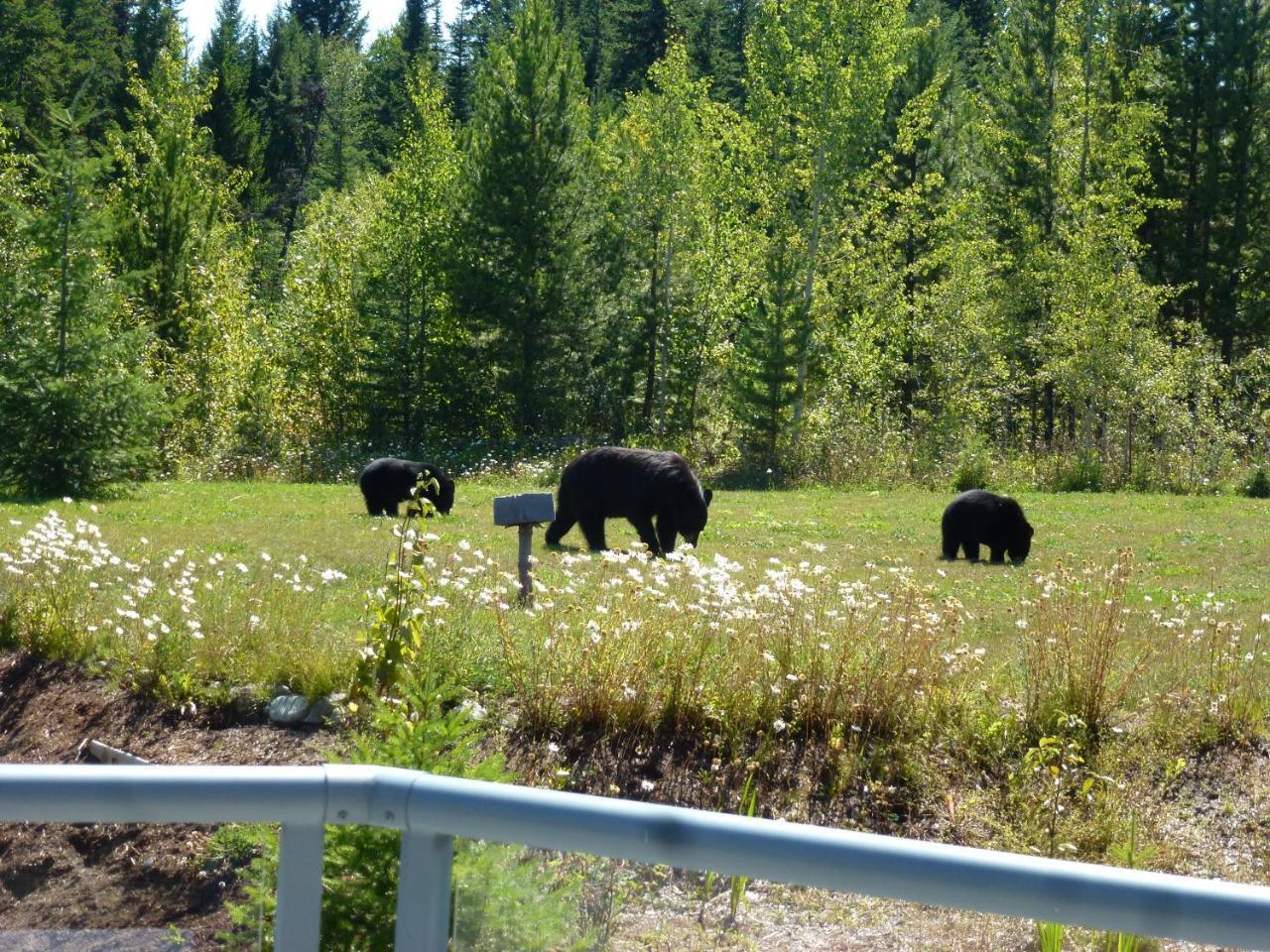 Little Black Bear Lodge/B&B Bridge Lake Extérieur photo