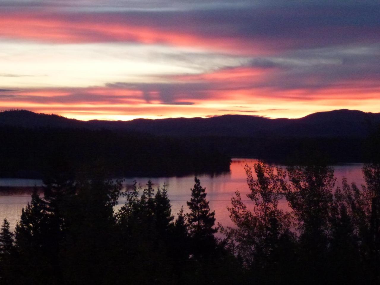 Little Black Bear Lodge/B&B Bridge Lake Extérieur photo